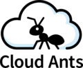 cloud-ants.com