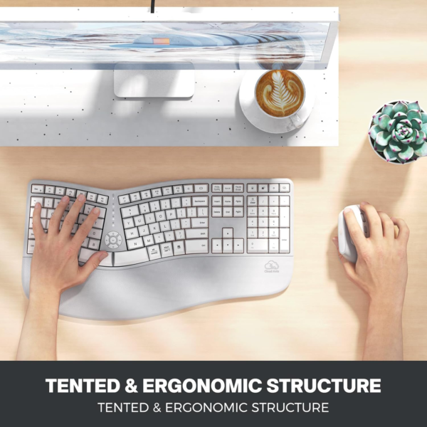 Clound Ants Ergonomic Keyboard and Mouse, Wireless Keyboard with Vertical Mouse, Split Curved Keyboard with Wrist Rest, Natural Typing Rechargeable Full Size, Windows/Mac/Computer/Laptop, Gray