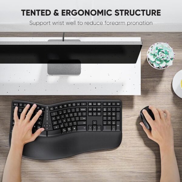 Clound ants Ergonomic Keyboard and Mouse, Wireless Keyboard with Vertical Mouse, Split Curved Keyboard with Wrist Rest, Natural Typing USB Receiver Rechargeable Full Size, Windows/Mac/PC/Laptop, Large