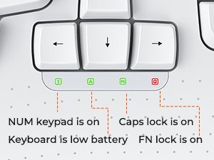 cloud ants  New Ergonomic Keyboard and Mouse Wireless Combo, Wave Keys Natural Typing, 2.4G Wireless Keyboard with Wrist Rest, 4 Adjustable DPI Optical Mouse, Computer/Laptop/Windows/Mac, White