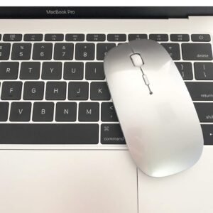 HQR-W57 ERGO MOUSE  WL-BT SILVERY