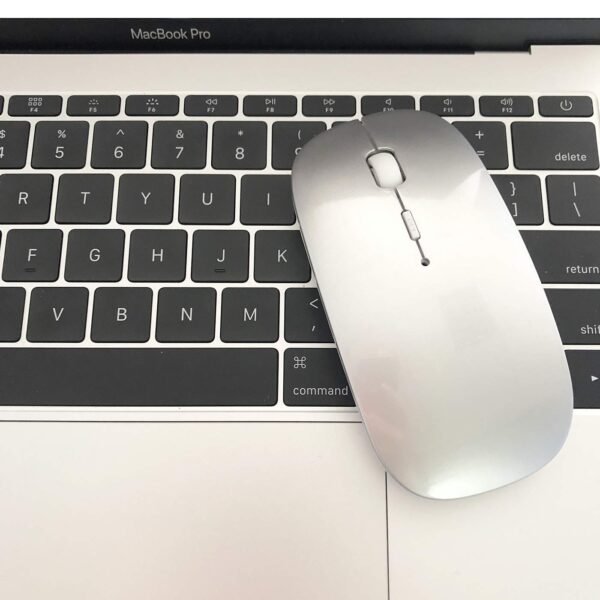 HQR-W57 ERGO MOUSE  WL-BT SILVERY