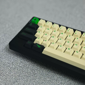 Pine and cypress--143key